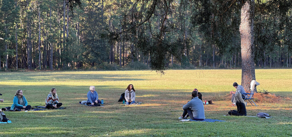 Forest Bathing